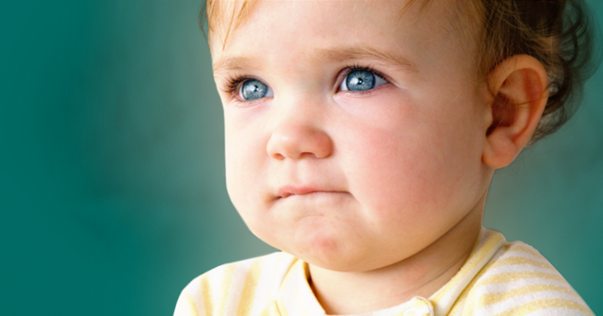 ze french cards Flashcards Memorang