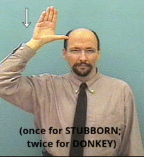 One Second Sign ASL 1.2: Week 2 Flashcards | Memorang