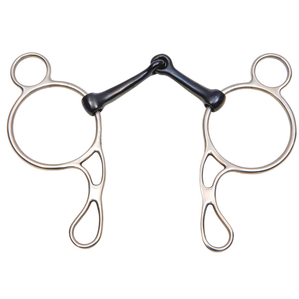 FFA Horse Judging Tack Flashcards Memorang