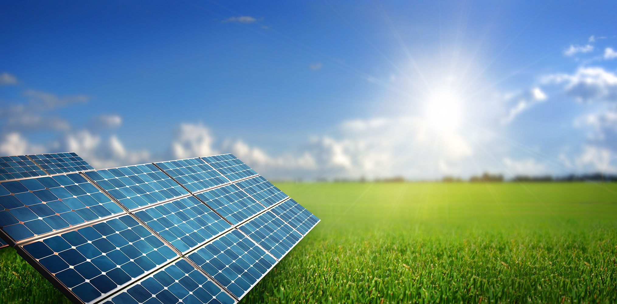 SALVEMOS EL Flashcards Memorang