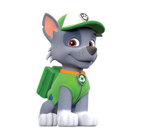 paw patrol full cast flashcards memorang