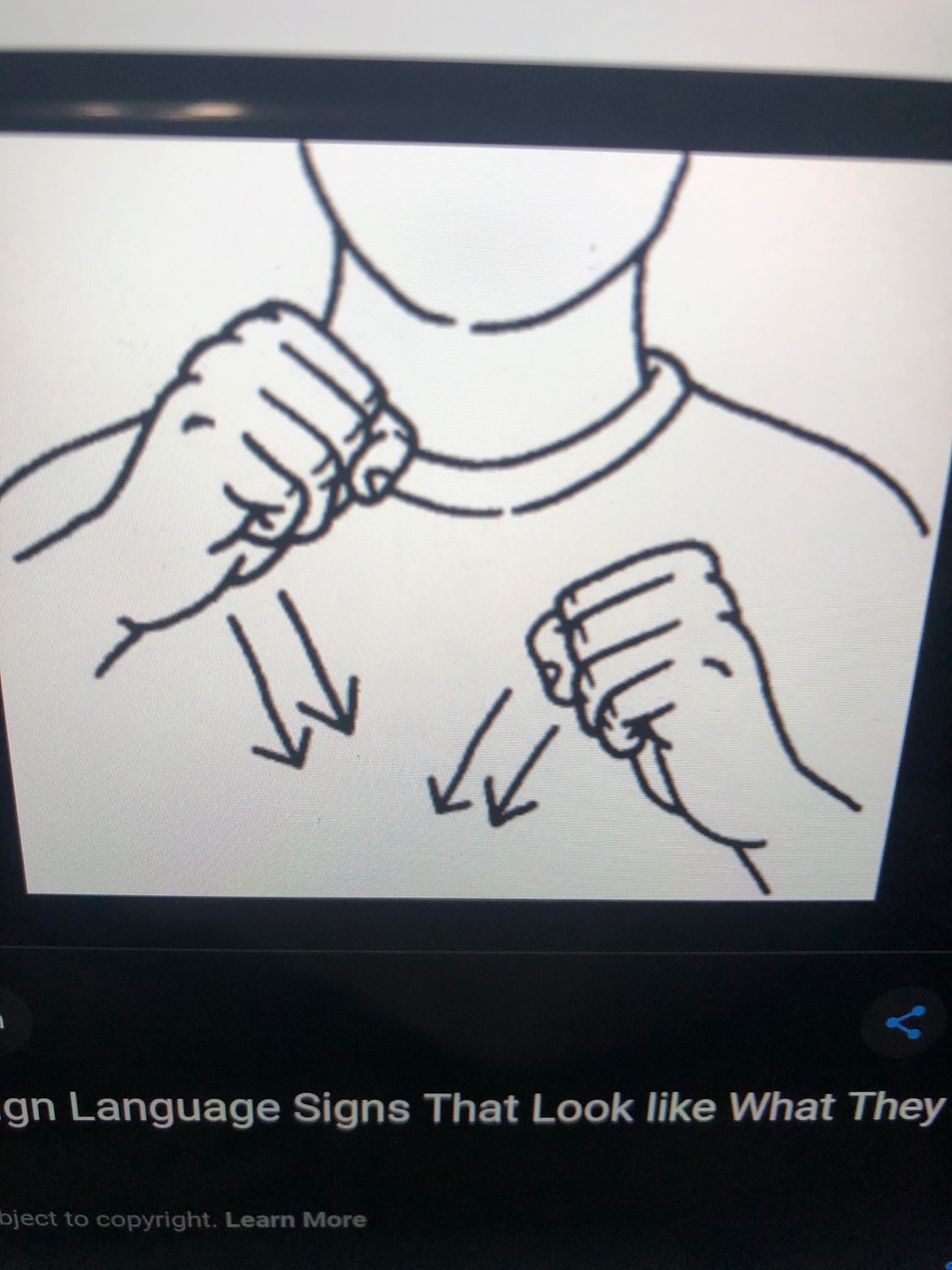 ASL for dummies chapter one Flashcards Memorang