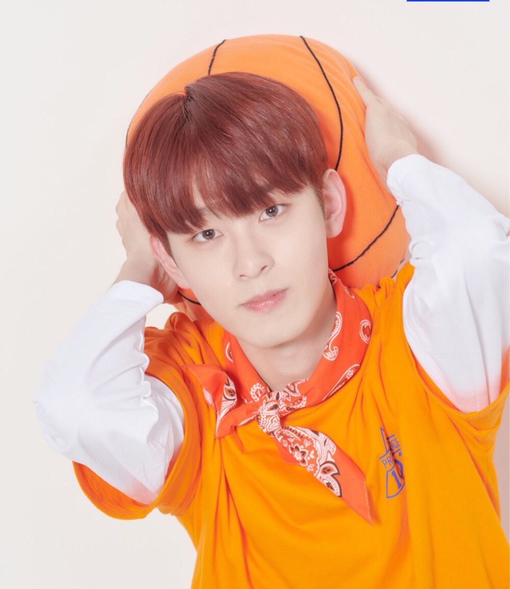 Produce X 101 Contestants Flashcards Memorang