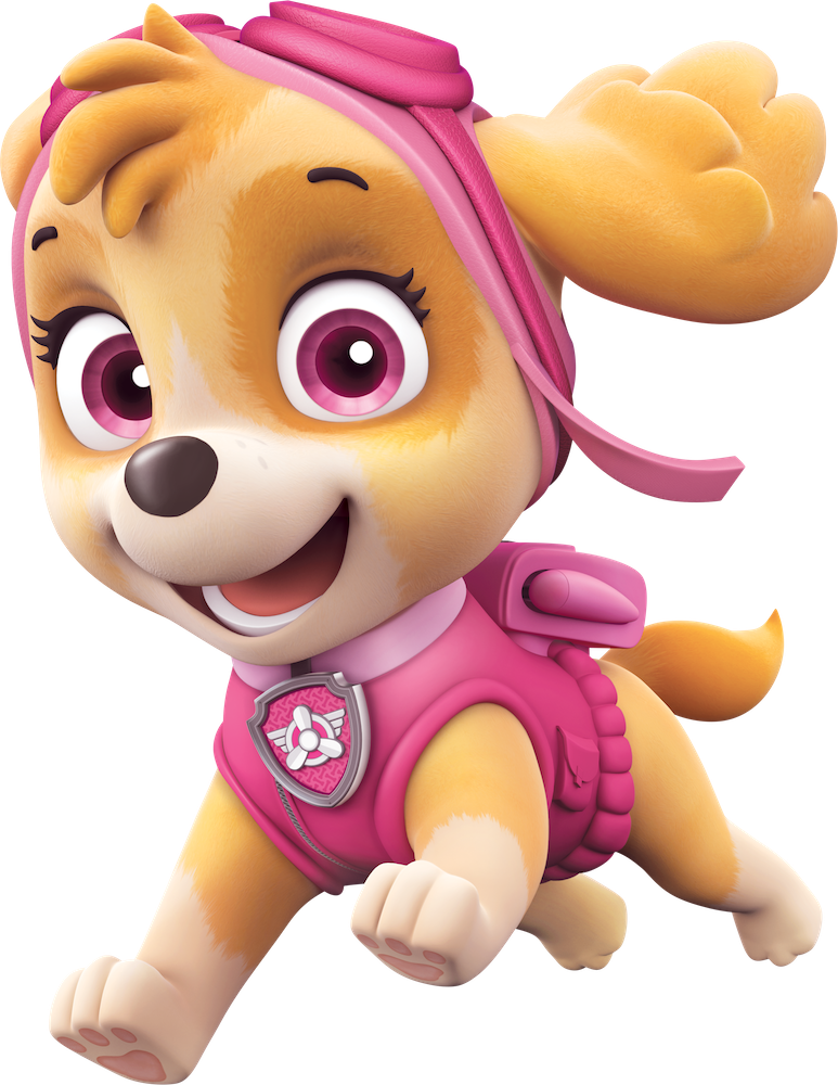 paw-patrol-flashcards-memorang
