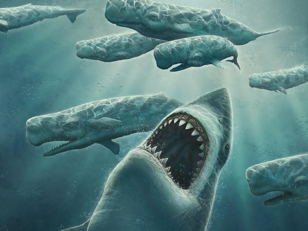 Prehistoric Sharks Flashcards | Memorang