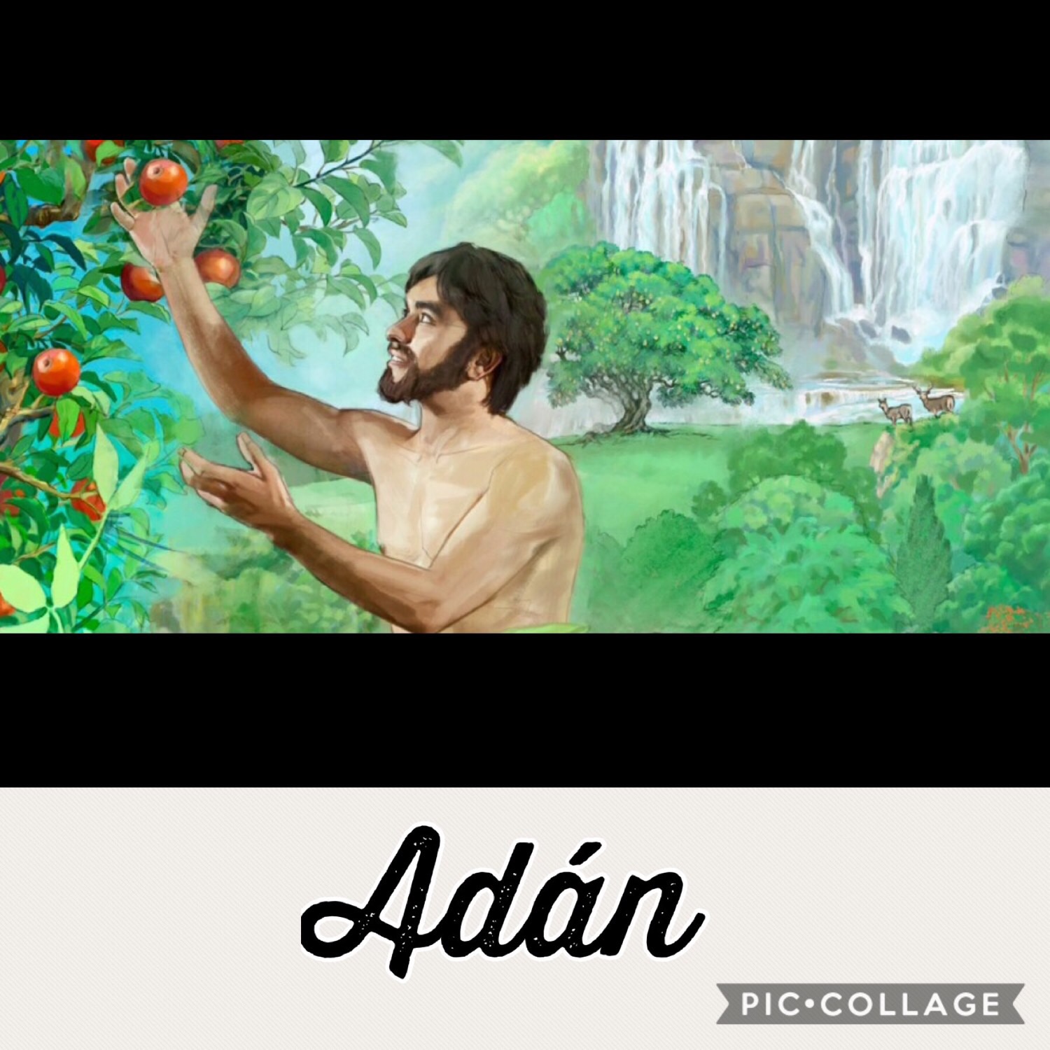 Personajes del Antiguo Testamento en inglés Flashcards Memorang