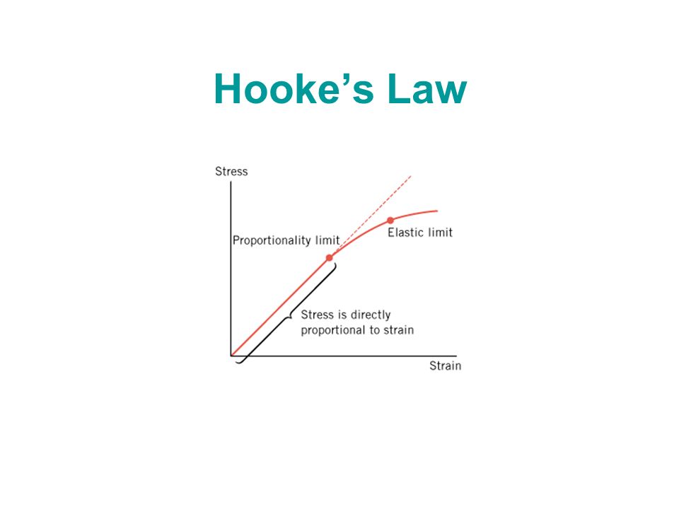 Hooke's Law Flashcards Memorang