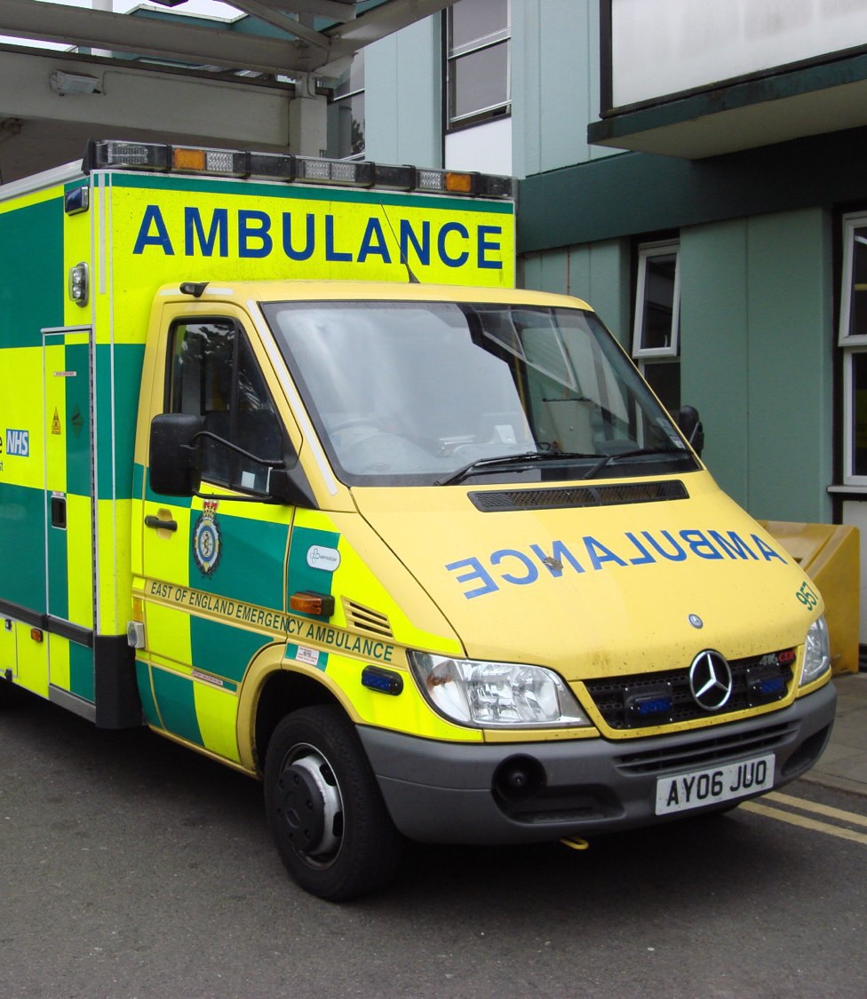 German words Flashcards Memorang