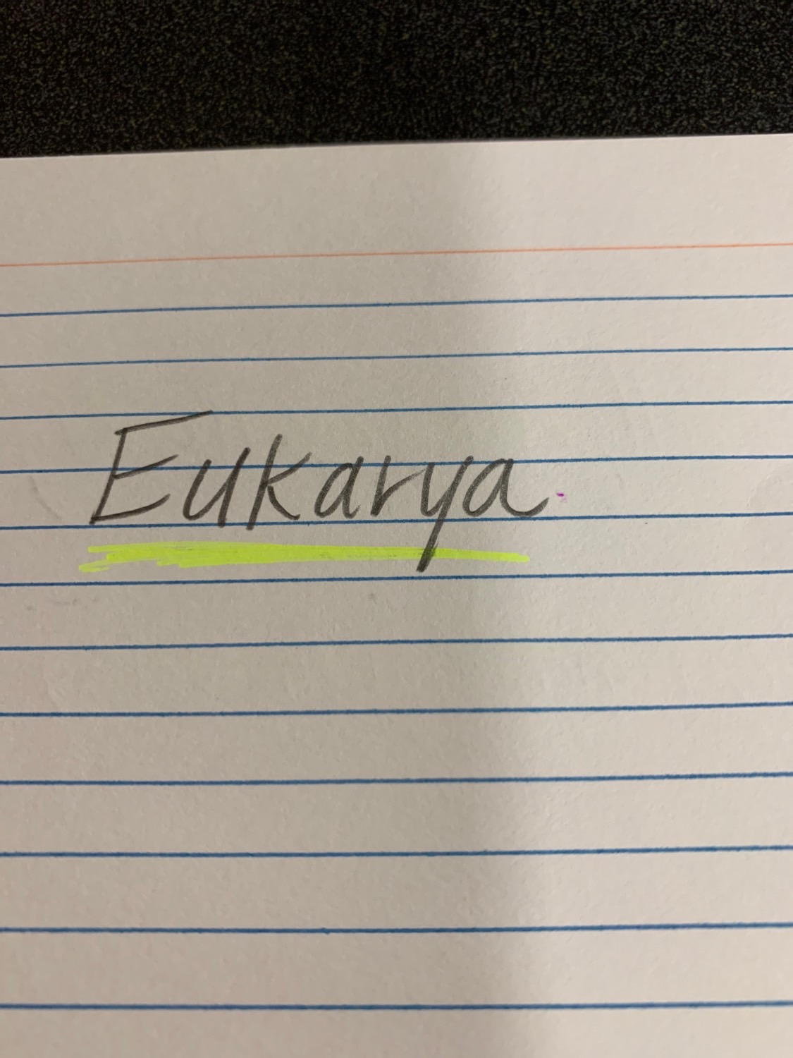 Biology Flashcards Memorang