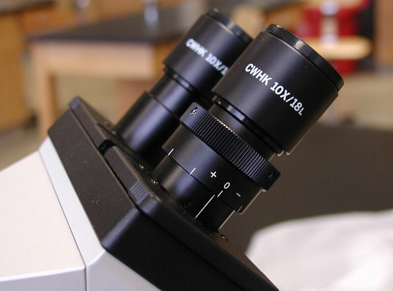 Microscope Quiz Flashcards Memorang