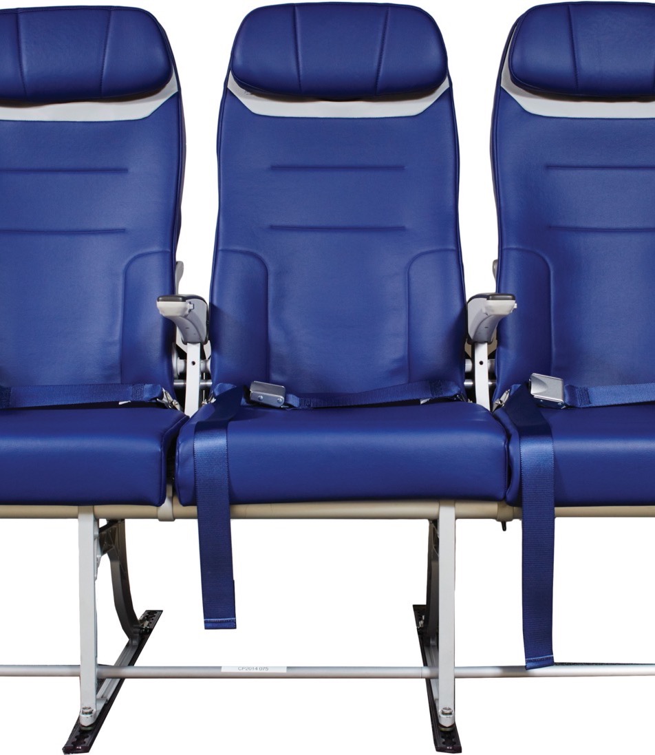 French Mots 2 Chapter 8 Flashcards Memorang