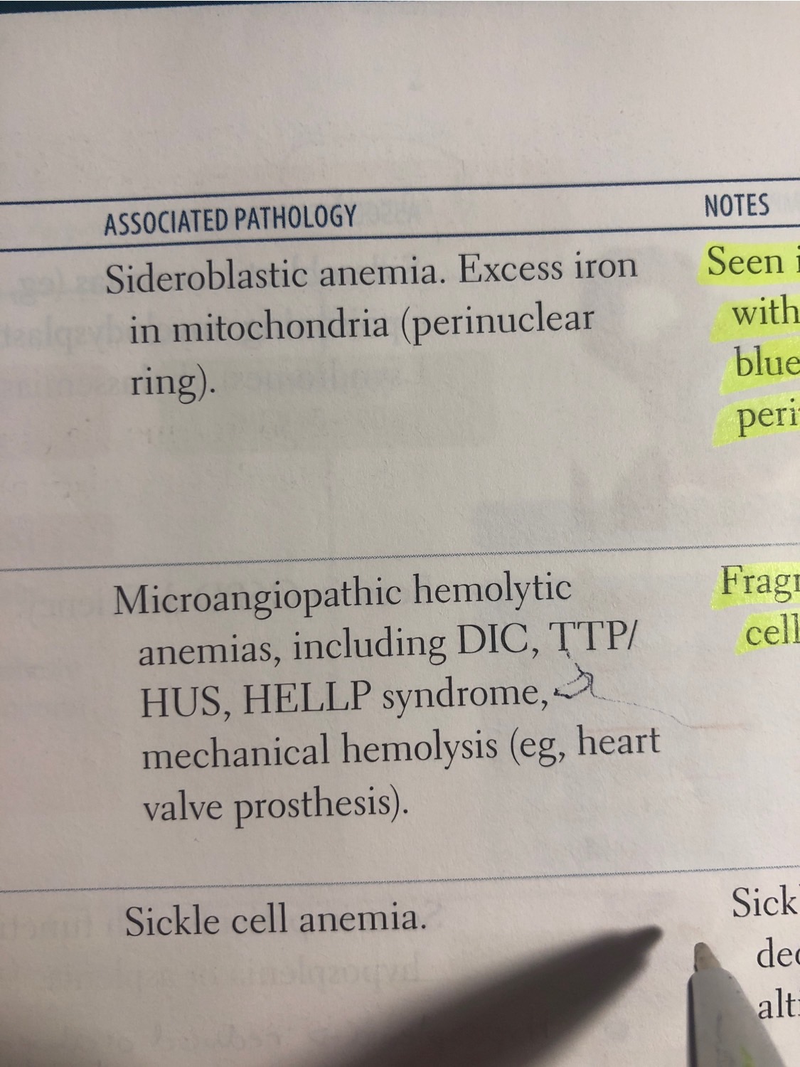 RBC pathologies Flashcards | Memorang