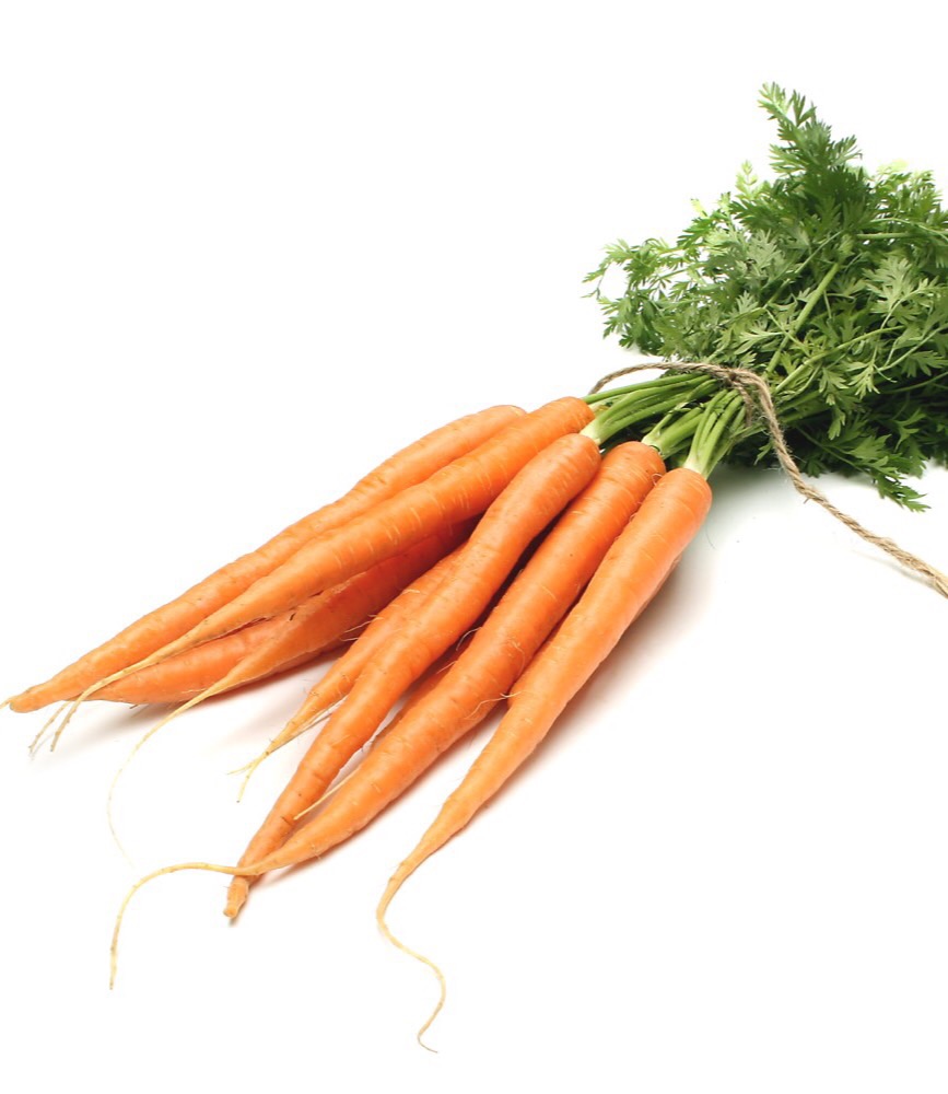 40 Vegetables in German with Articles Flashcards | Memorang