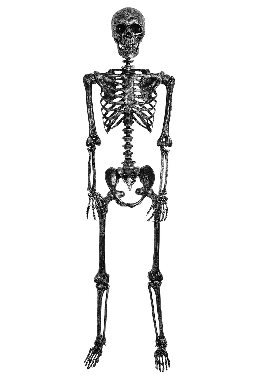 Bones Flashcards | Memorang
