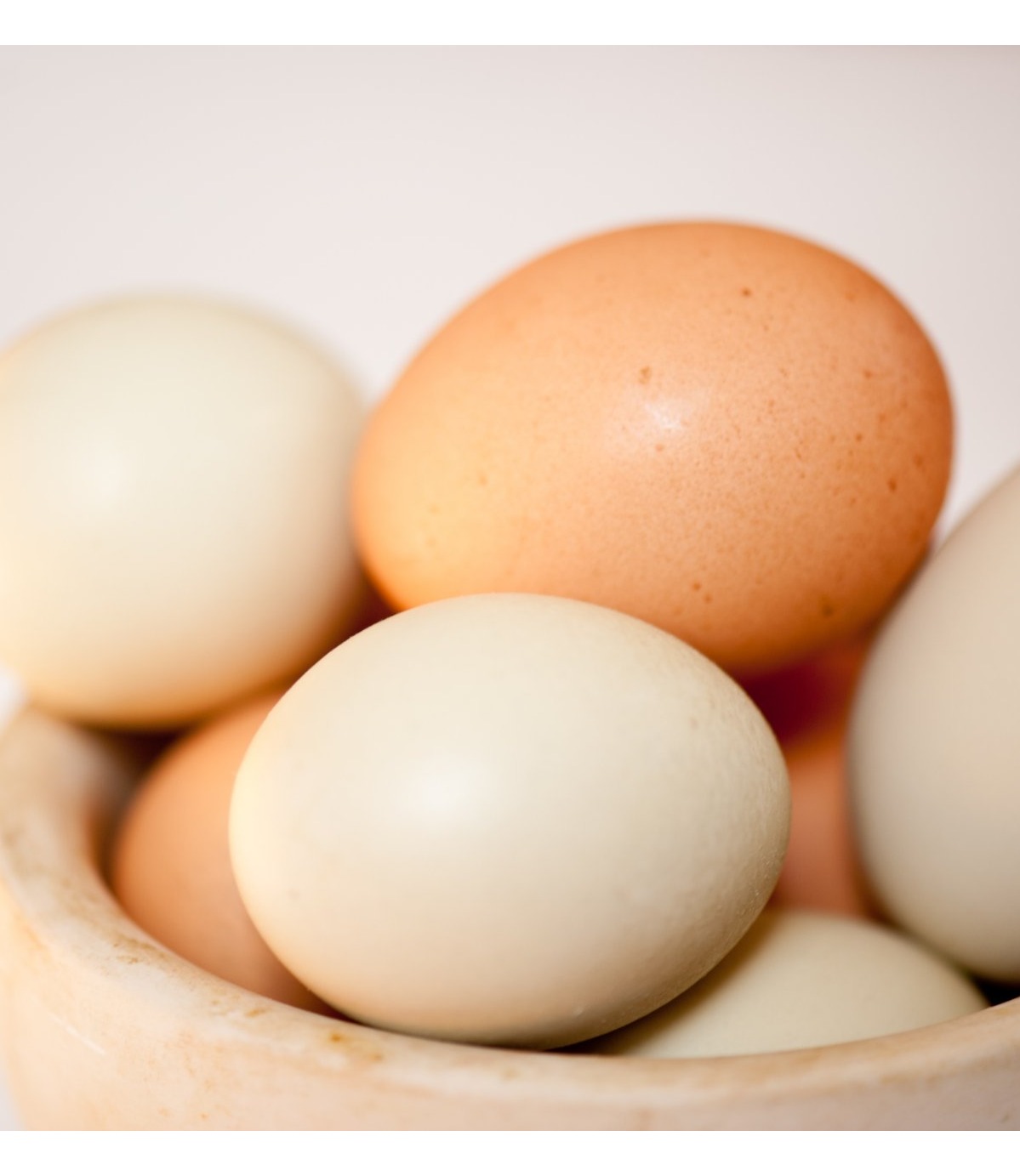 Dairy Judging Flashcards at Kristie Courtney blog