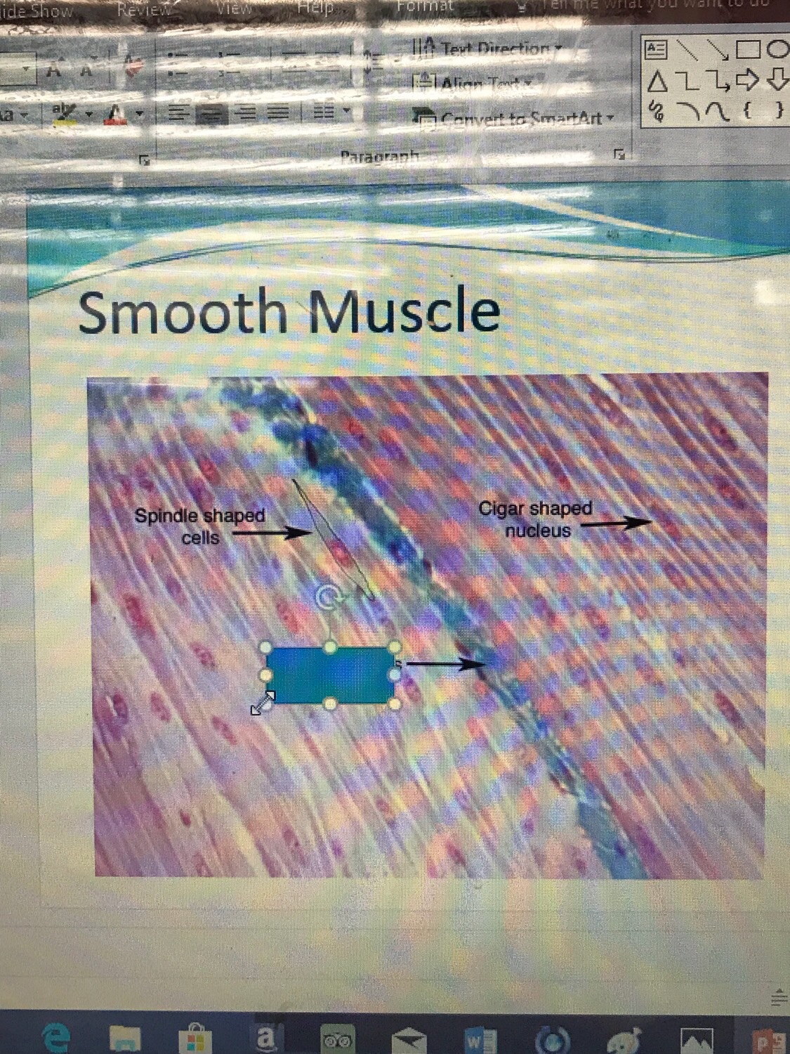 Histology 1 Flashcards Memorang
