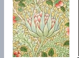 Tech Styles Flashcards Memorang