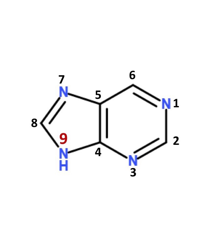 Nucleic Acids Flashcards Memorang