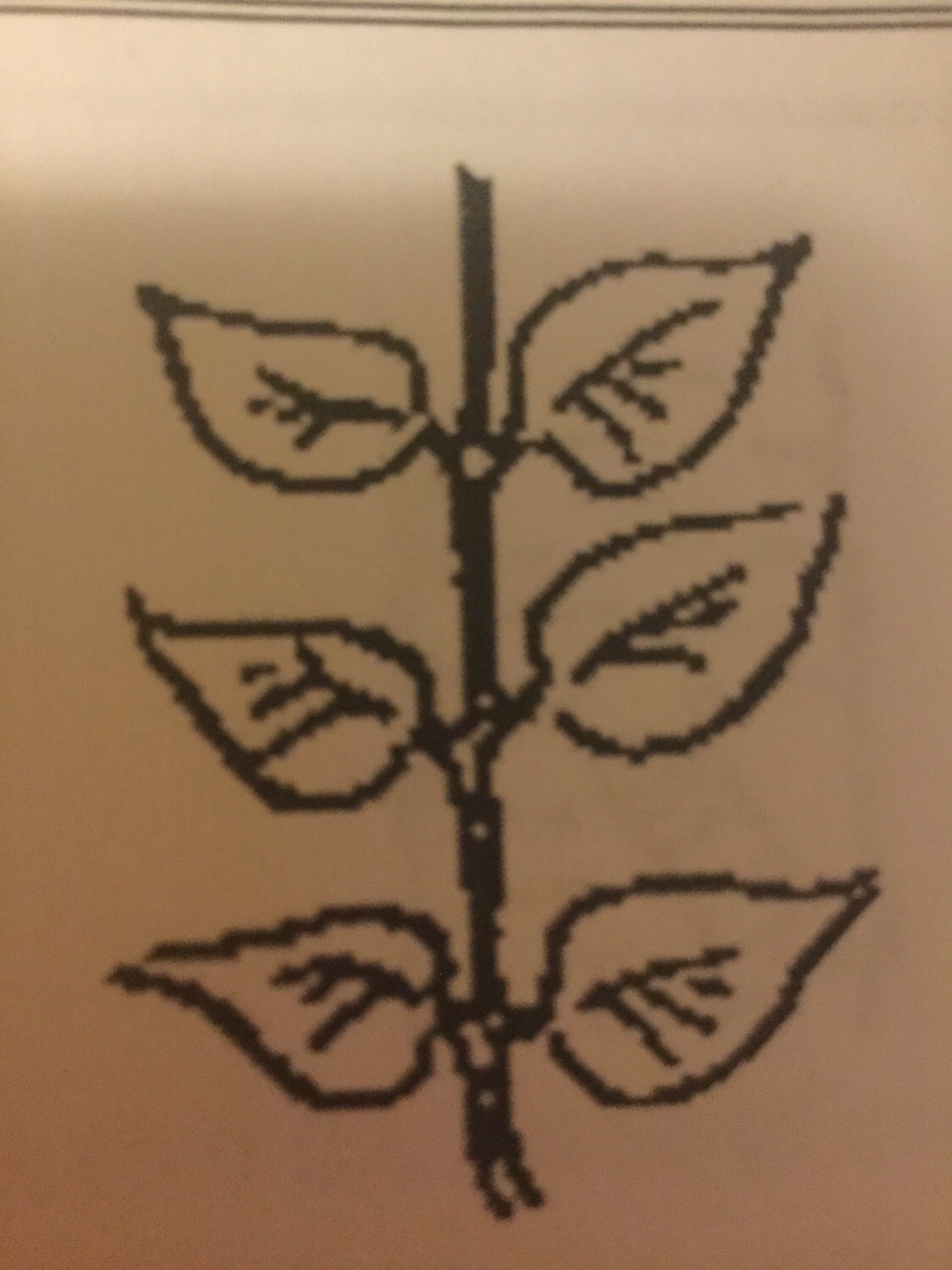Leaf Classification Flashcards Memorang