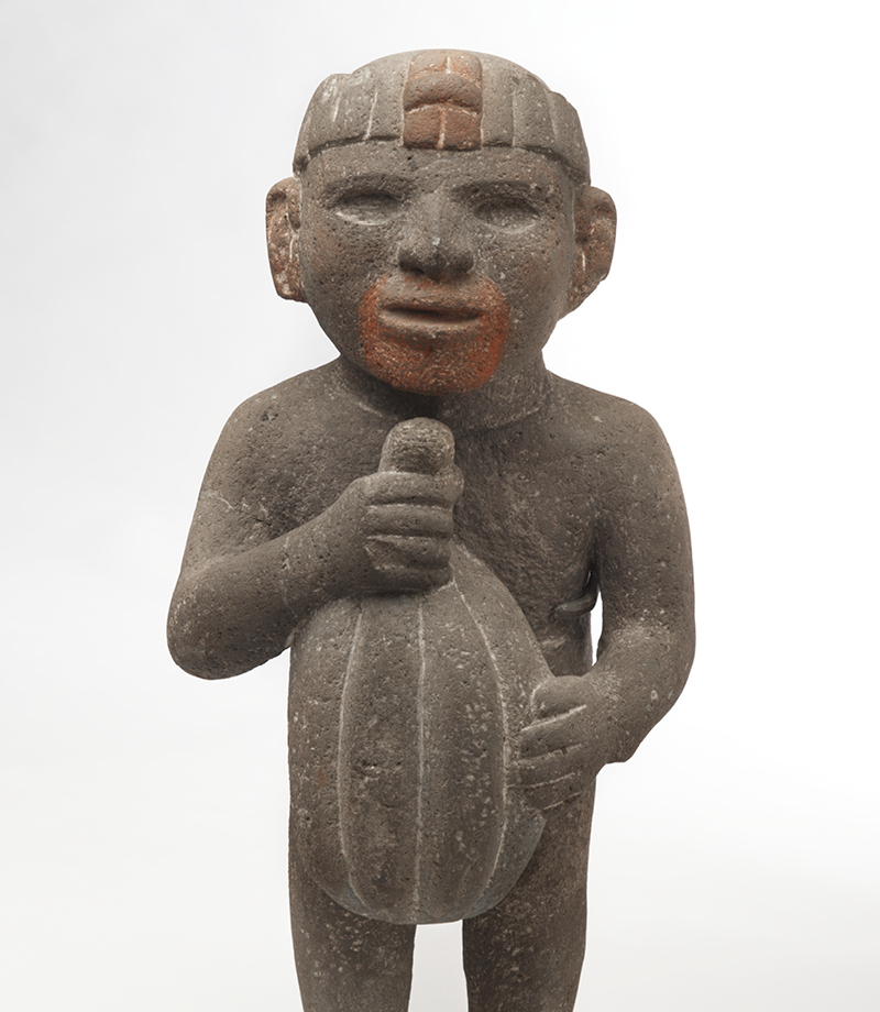 Drink Up! Flashcards Memorang