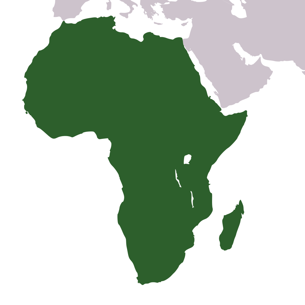The continents and oceans flashcards memorang