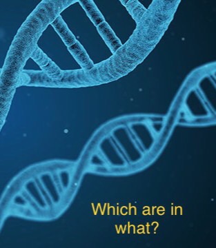 Science test genes Flashcards | Memorang