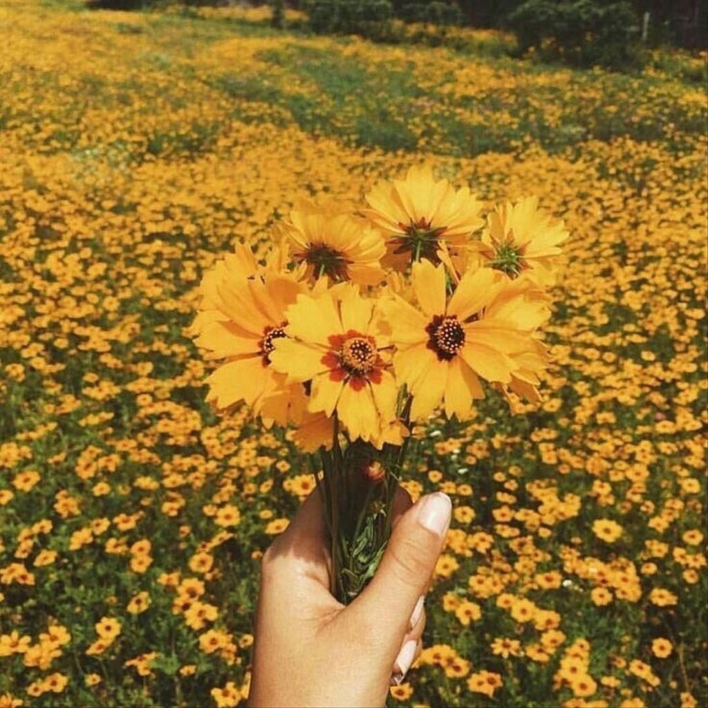 Yellow Aesthetic Flashcards Memorang