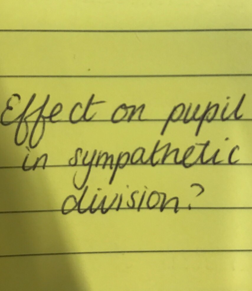 fight-or-flight-flashcards-memorang
