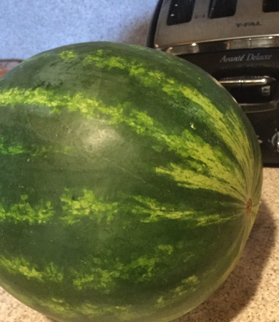 Foods In Spanish Flashcards Memorang