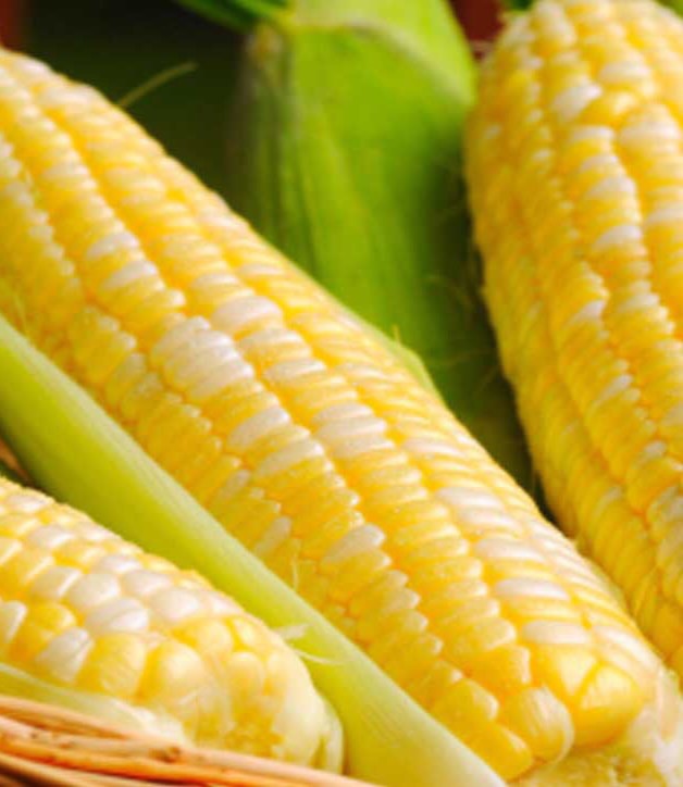 Las L gumes Verduras Flashcards Memorang