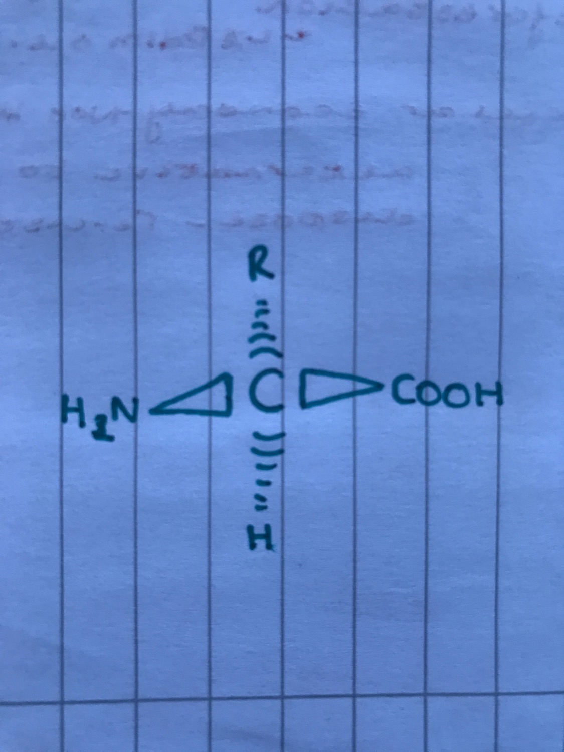 Amino acids Flashcards Memorang
