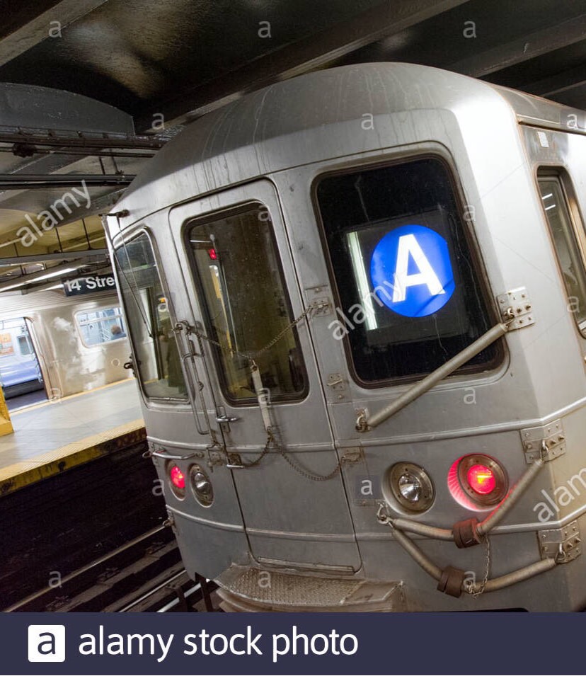 A to Z lines NYC Flashcards Memorang