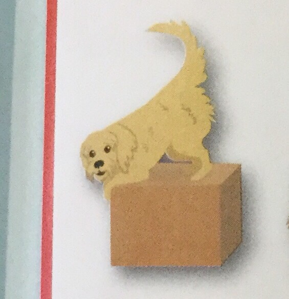 French directions Flashcards Memorang