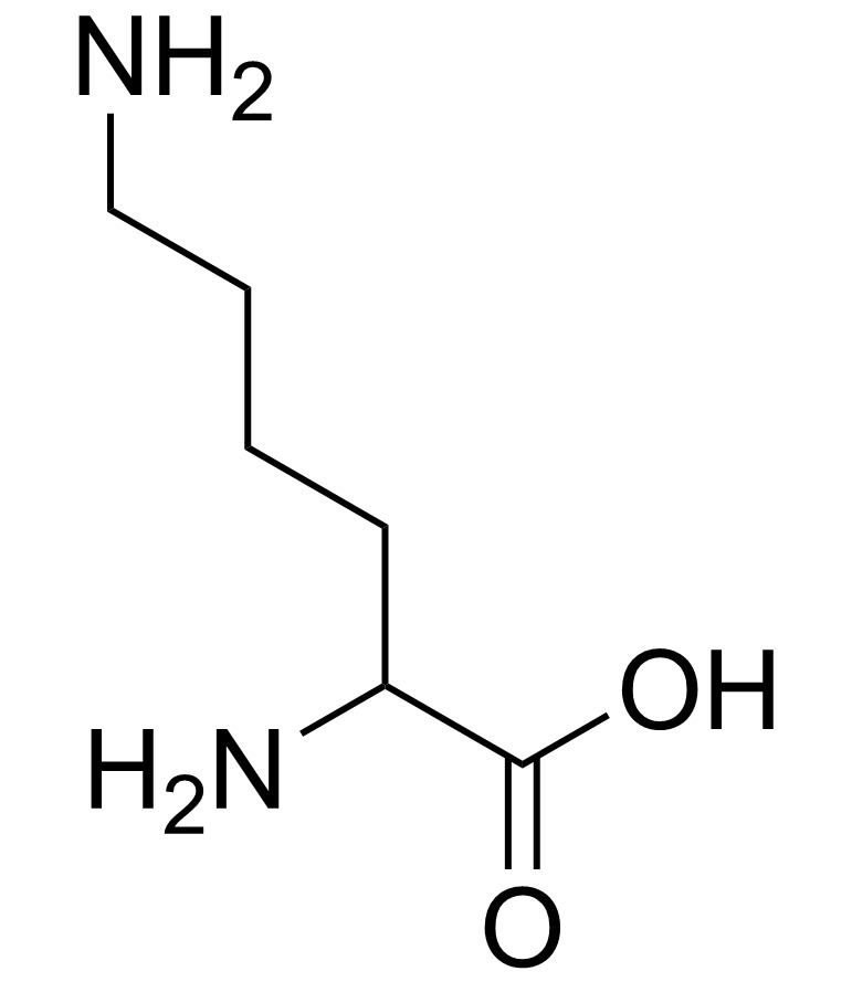 Amino acids Flashcards Memorang