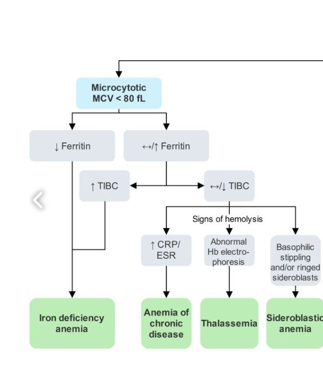 Hematology Flashcards Memorang