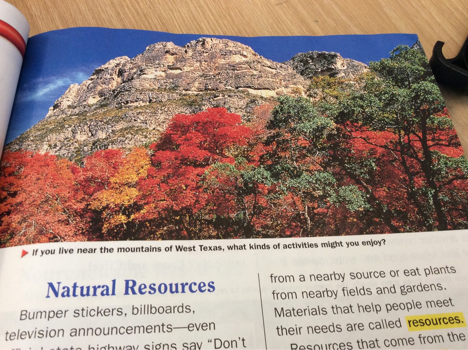 Texas regions Flashcards Memorang