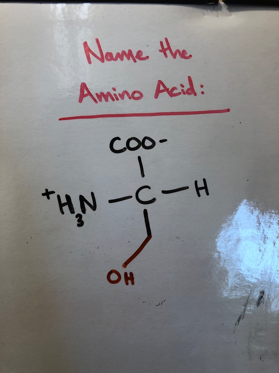 Polar Amino Acids Flashcards Memorang