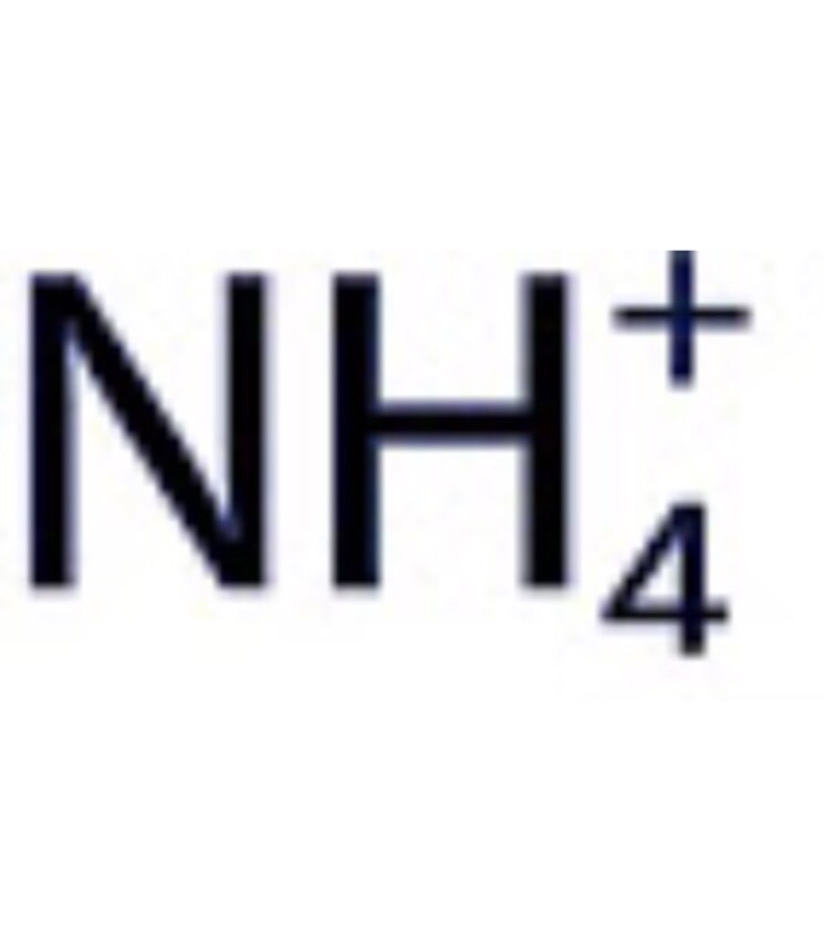 Polyatomic ions Chem 110 Flashcards Memorang