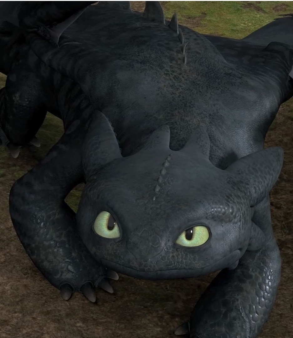 Beyond The Dragons Exploring The Underrated Tropes Of Httyd - vx1d5yf
