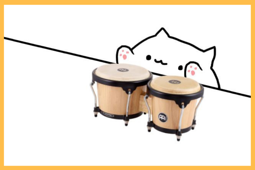 bongo cats Flashcards Memorang