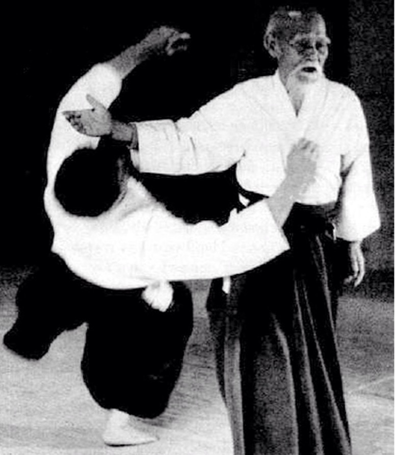 Martial Arts Styles Flashcards Memorang