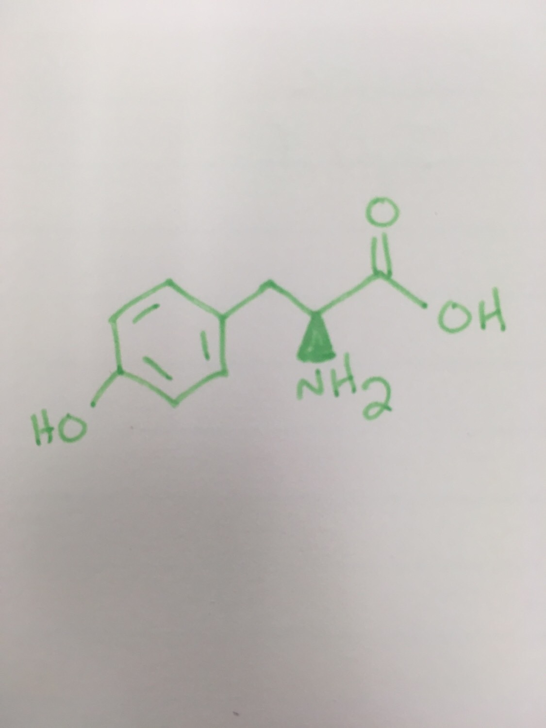 Amino acids Flashcards Memorang
