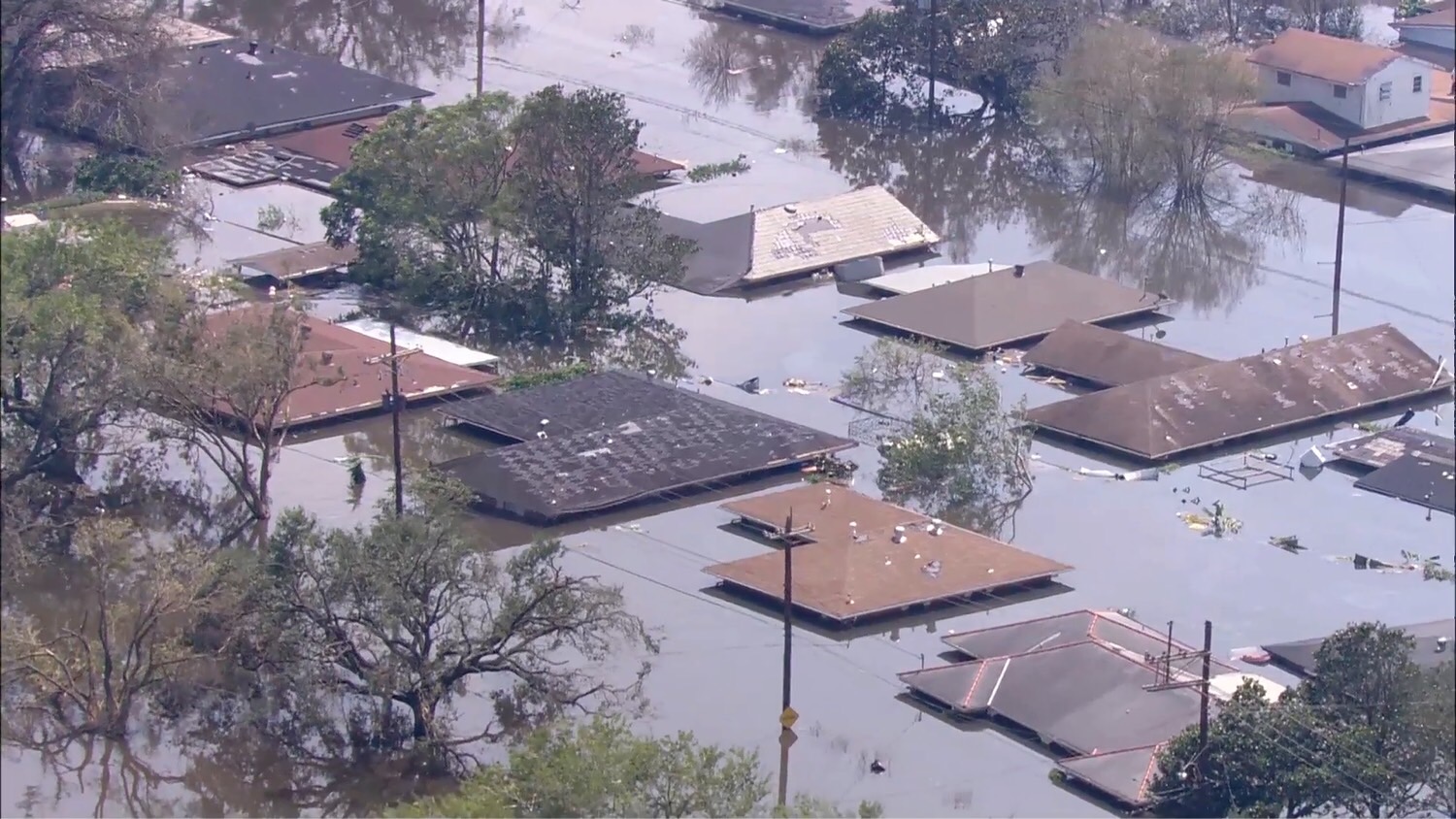 Natural Disasters Part 1 Flashcards Memorang