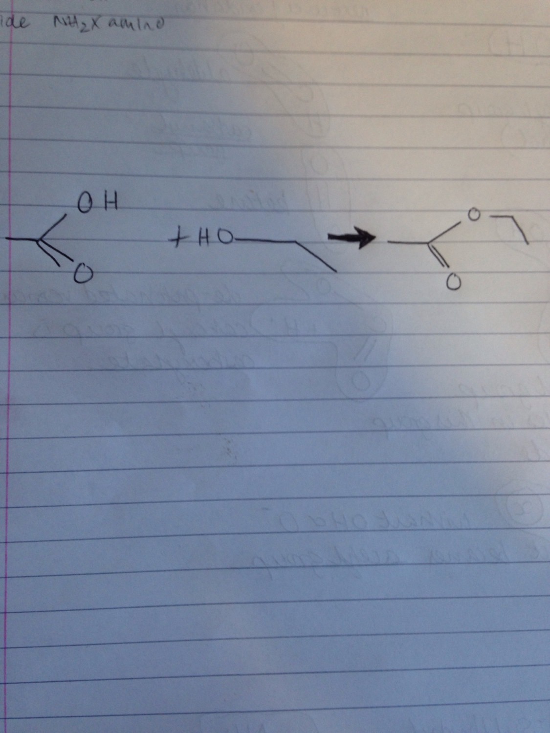 Biochemistry common linking bonds in biomolecules Flashcards Memorang
