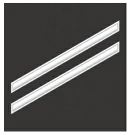 Navy Rank Insignia Flashcards Memorang Navy Rank Insignia Flashcards Memorang