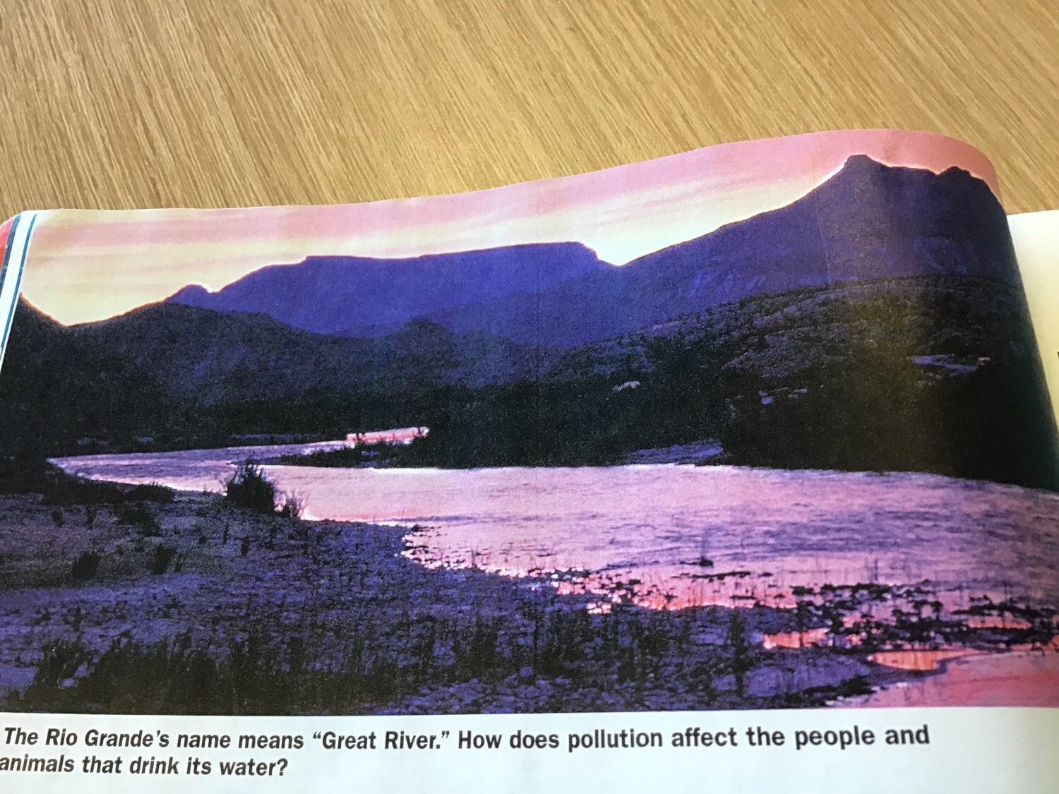 Texas regions Flashcards Memorang