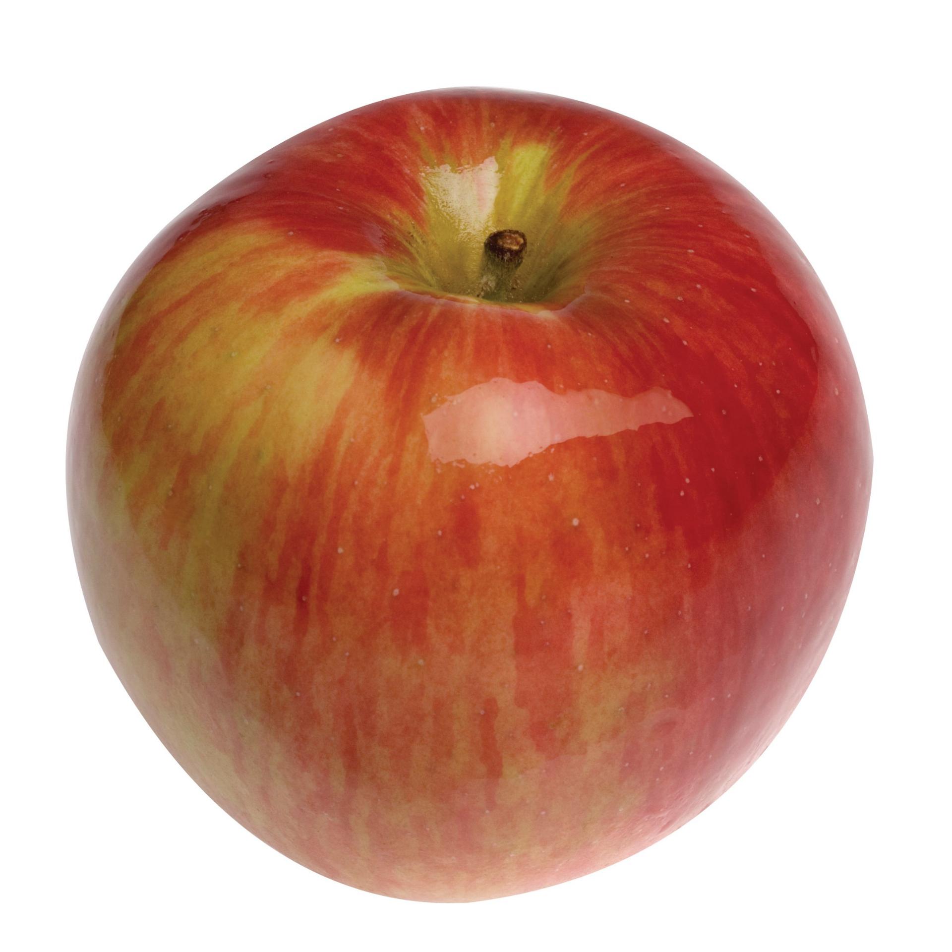 German Food word cards Flashcards Memorang