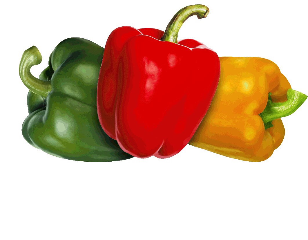Les Fruits Et Les L gumes Flashcards Memorang