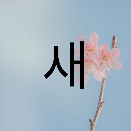 Animals In Korean Flashcards Memorang