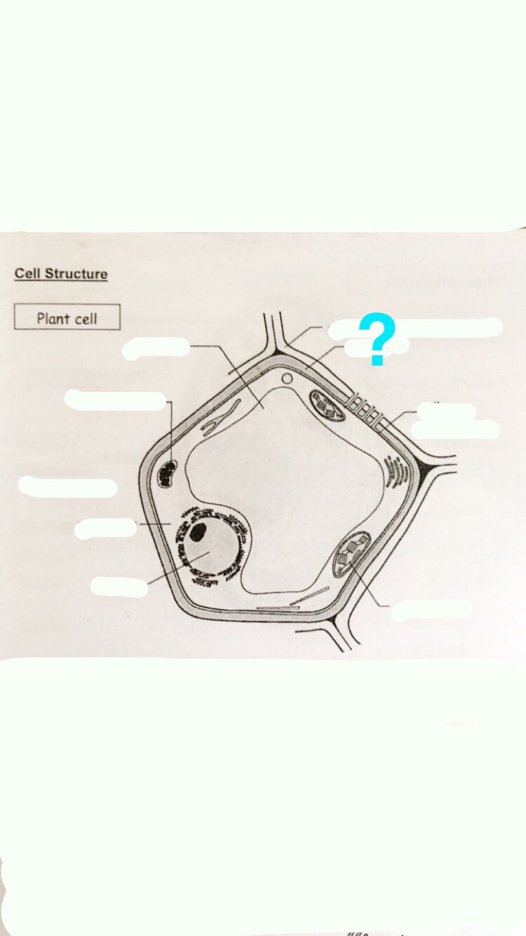 Biology Unit 1 Flashcards Memorang